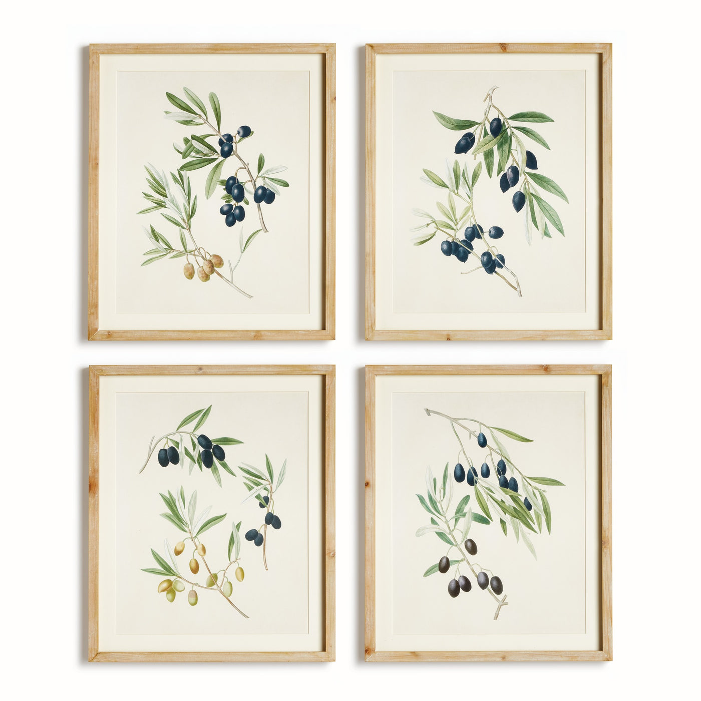 Olive Stems Study, Set of 4