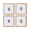 Seashell Petite Prints, Set of 4