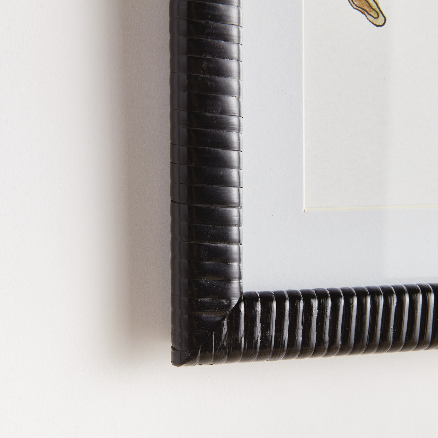 Autumnal Fruit Prints, Set of 4