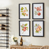 Autumnal Fruit Prints, Set of 4