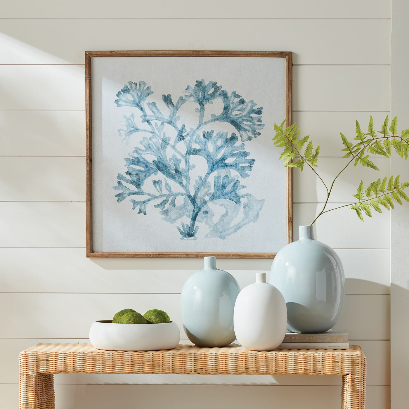 Translucent Coral Print