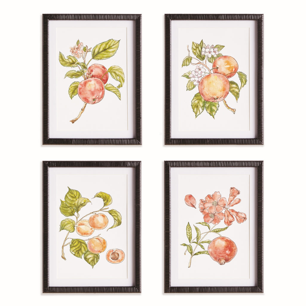 Autumnal Fruit Prints, Set of 4