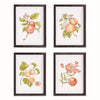 Autumnal Fruit Prints, Set of 4