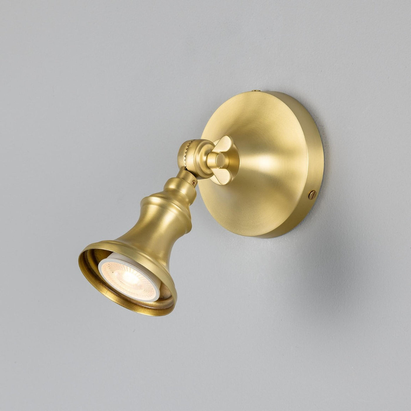 Accra Adjustable Spotlight