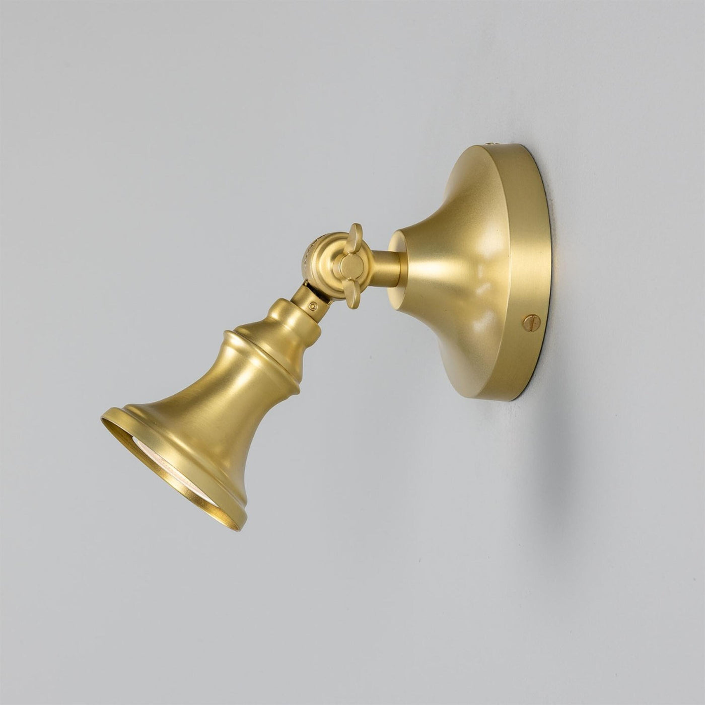 Accra Adjustable Spotlight