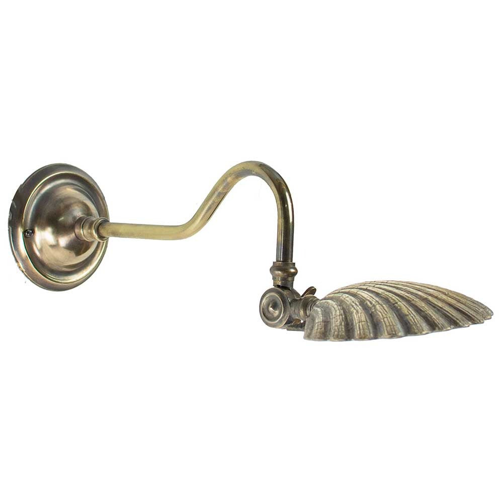 Oyster Shell Picture Light