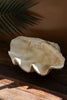Giant Resin Clam Shell