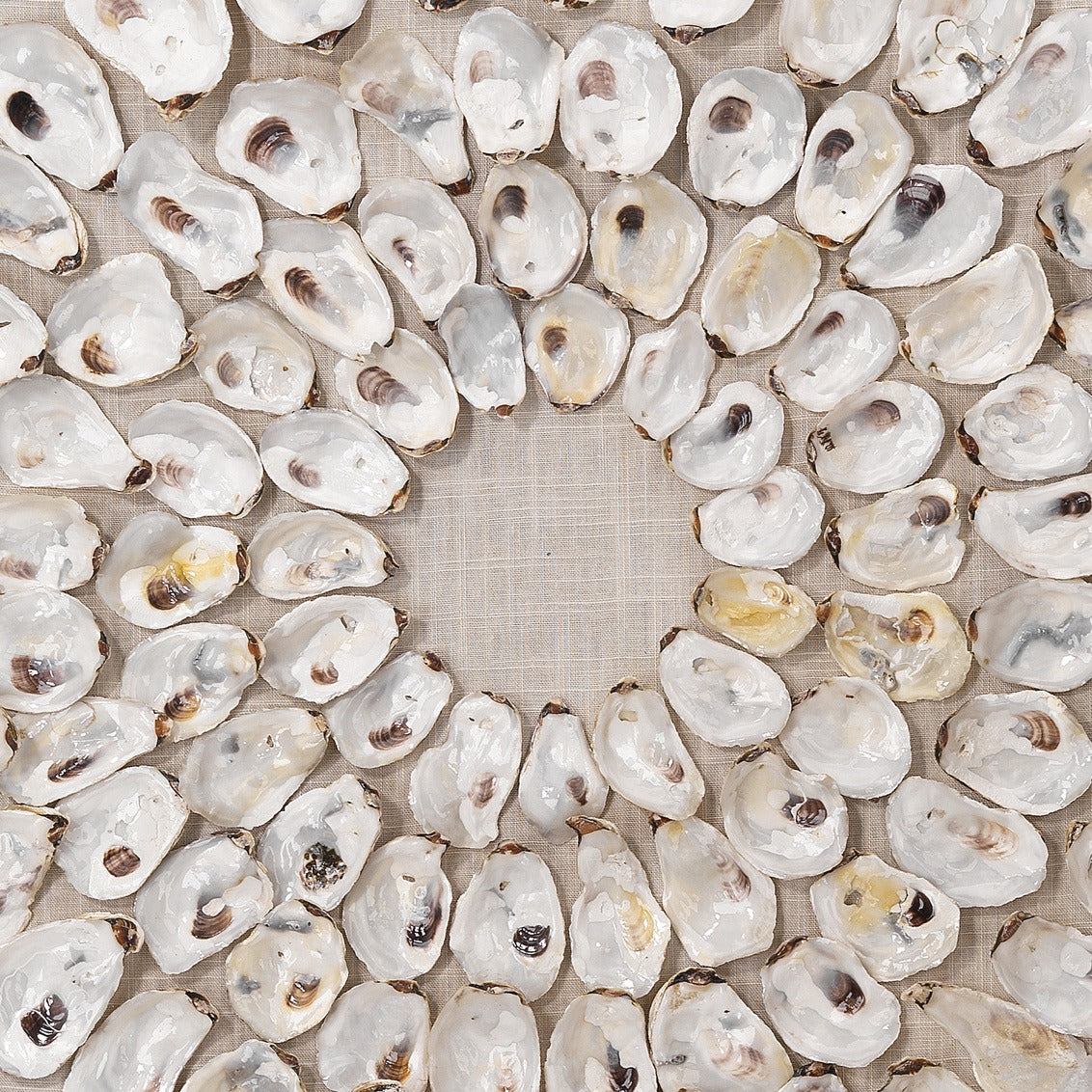 Nantucket Shell Wall Art