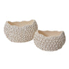 Caroline  Bowl