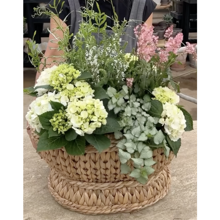 Bradford Oval Compote Basket