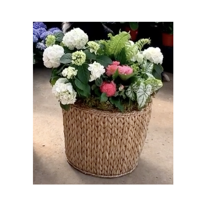 Everett Basket