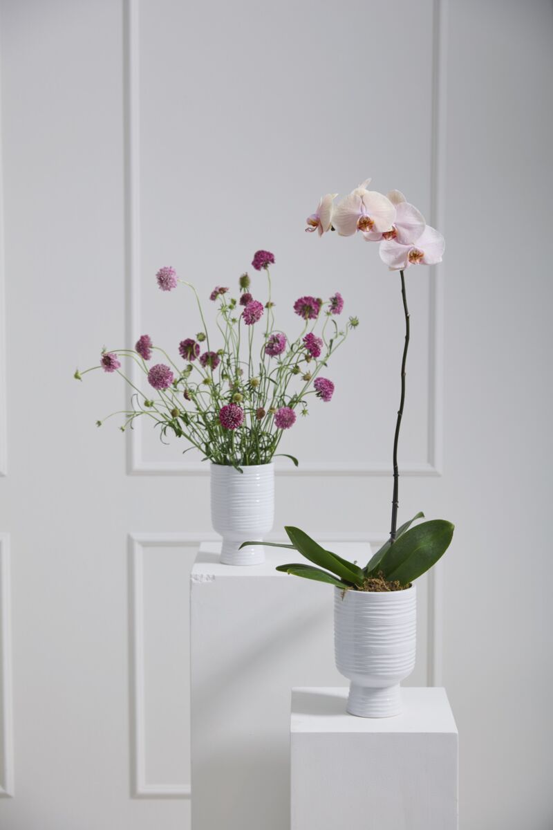 Monaco Vase