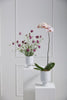 Monaco Vase