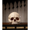 Skull Votive by Bethany Lowe Designs