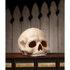 Skull Votive by Bethany Lowe Designs