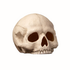 Skull Votive by Bethany Lowe Designs