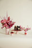 Valentina Collection