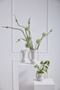 Cavendish Vase