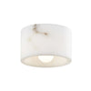 Elizabeth Wall or Ceiling Light