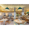 Shane Vintage Cage Pendant Light